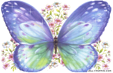 Glitzer-Schmetterling